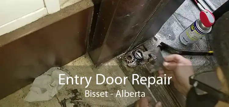 Entry Door Repair Bisset - Alberta