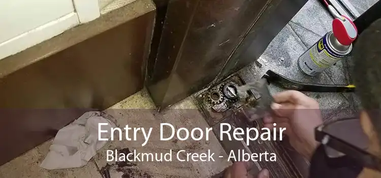 Entry Door Repair Blackmud Creek - Alberta