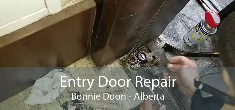 Entry Door Repair Bonnie Doon - Alberta