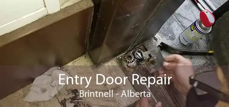 Entry Door Repair Brintnell - Alberta