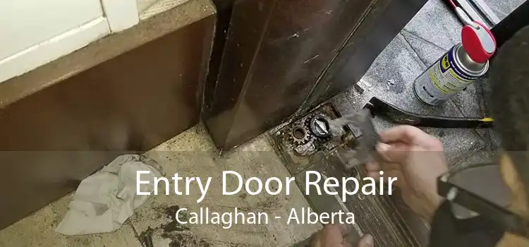 Entry Door Repair Callaghan - Alberta