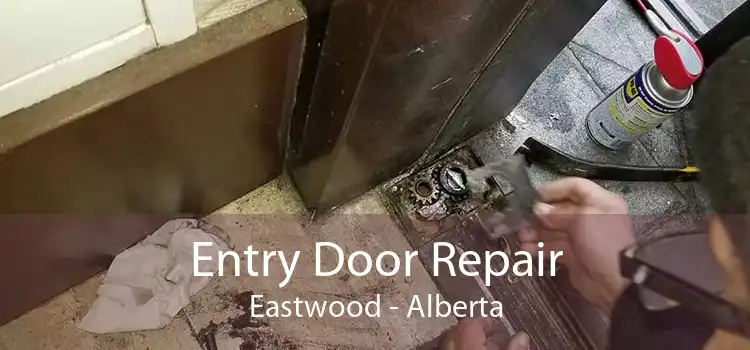 Entry Door Repair Eastwood - Alberta