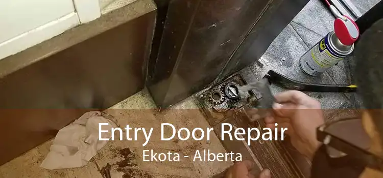 Entry Door Repair Ekota - Alberta