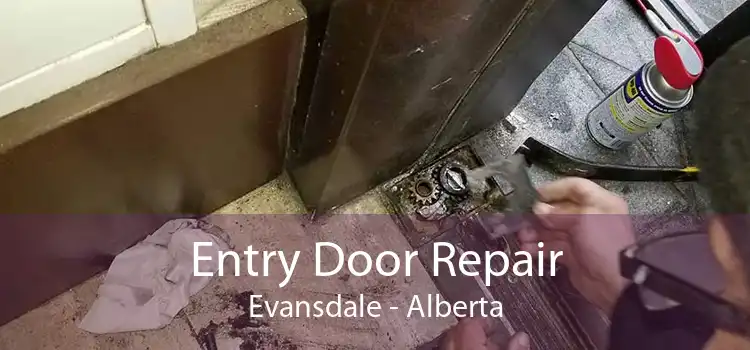 Entry Door Repair Evansdale - Alberta