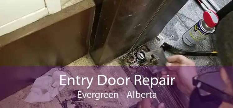 Entry Door Repair Evergreen - Alberta