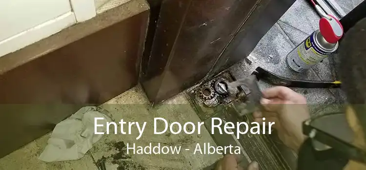 Entry Door Repair Haddow - Alberta