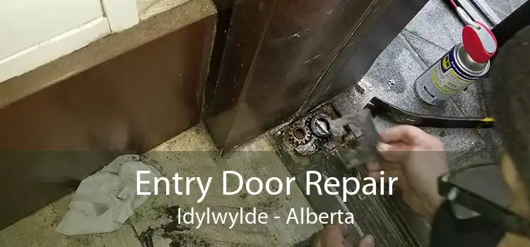 Entry Door Repair Idylwylde - Alberta