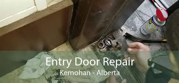 Entry Door Repair Kernohan - Alberta