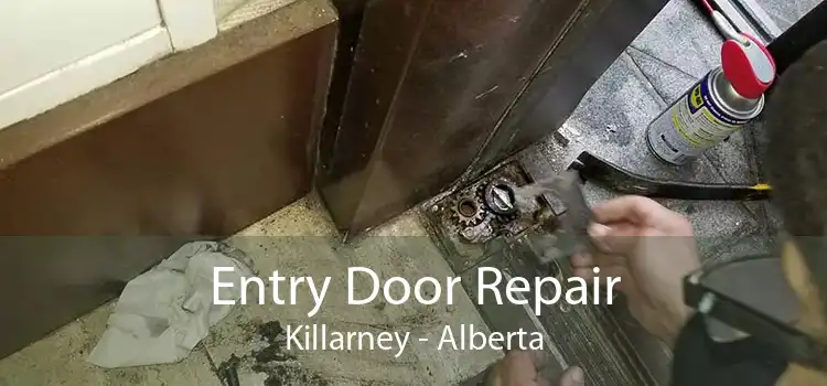 Entry Door Repair Killarney - Alberta