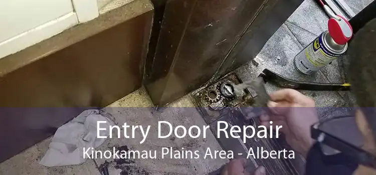 Entry Door Repair Kinokamau Plains Area - Alberta