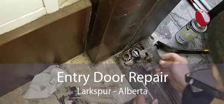 Entry Door Repair Larkspur - Alberta