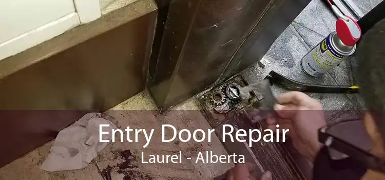 Entry Door Repair Laurel - Alberta