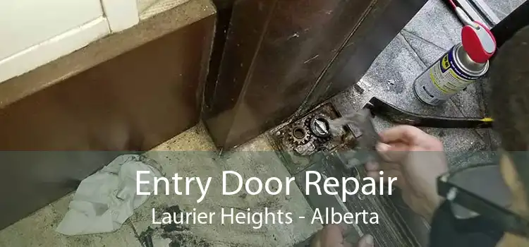 Entry Door Repair Laurier Heights - Alberta