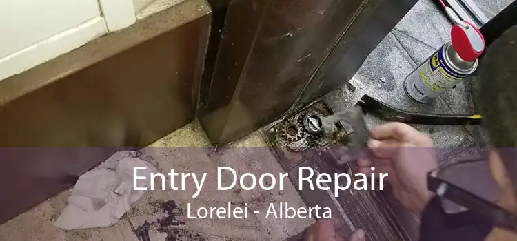 Entry Door Repair Lorelei - Alberta