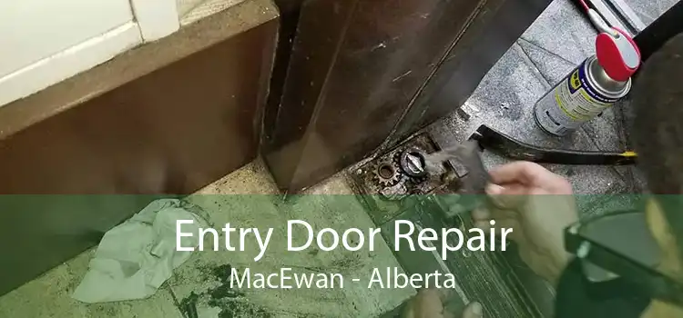 Entry Door Repair MacEwan - Alberta