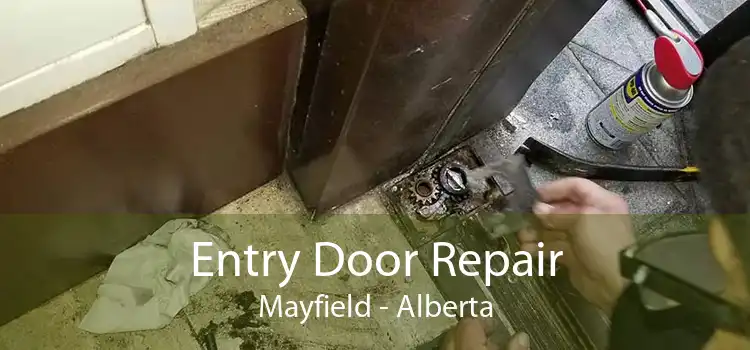 Entry Door Repair Mayfield - Alberta