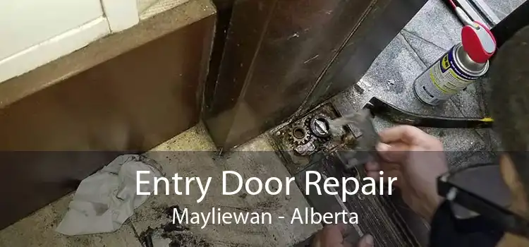 Entry Door Repair Mayliewan - Alberta