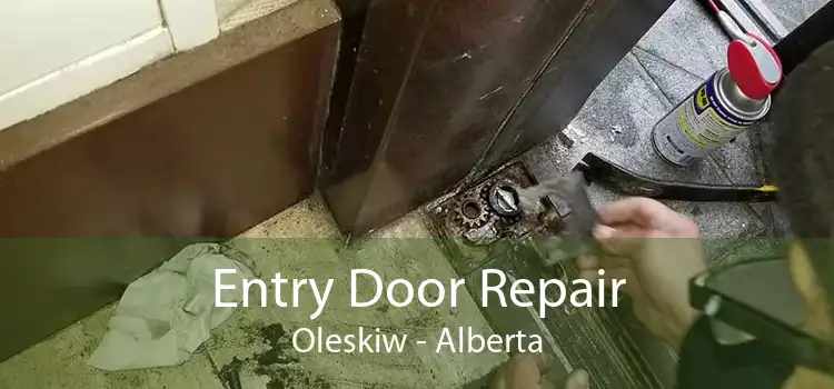 Entry Door Repair Oleskiw - Alberta