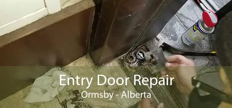 Entry Door Repair Ormsby - Alberta