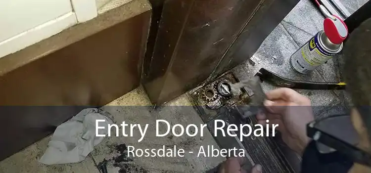 Entry Door Repair Rossdale - Alberta