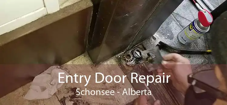 Entry Door Repair Schonsee - Alberta