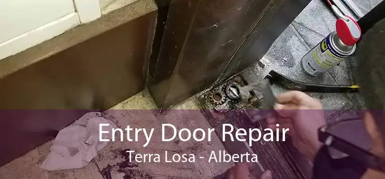 Entry Door Repair Terra Losa - Alberta