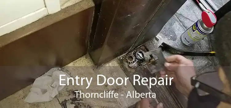 Entry Door Repair Thorncliffe - Alberta