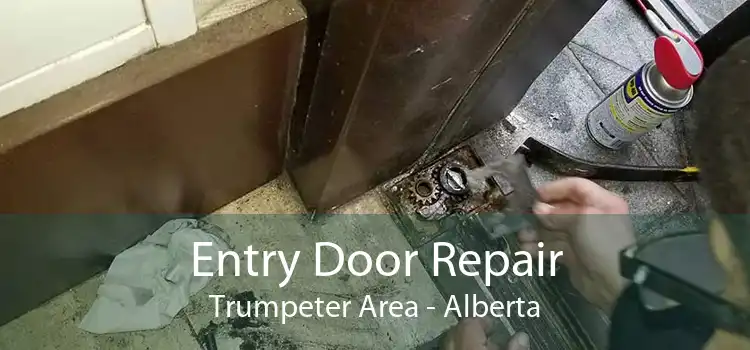 Entry Door Repair Trumpeter Area - Alberta