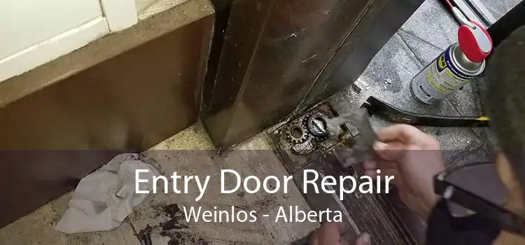 Entry Door Repair Weinlos - Alberta