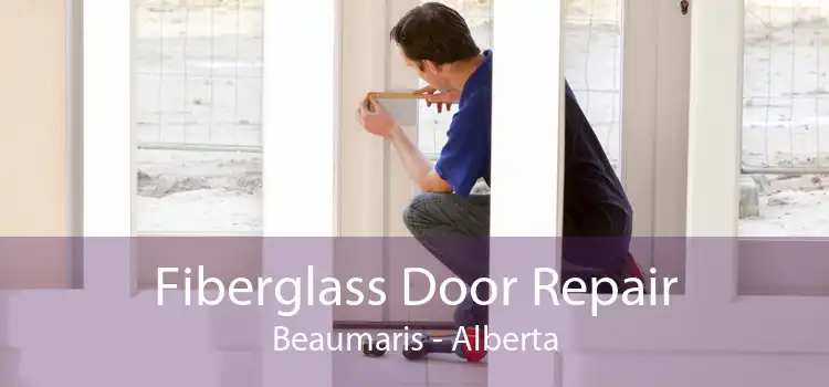 Fiberglass Door Repair Beaumaris - Alberta