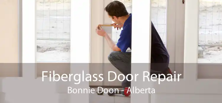 Fiberglass Door Repair Bonnie Doon - Alberta