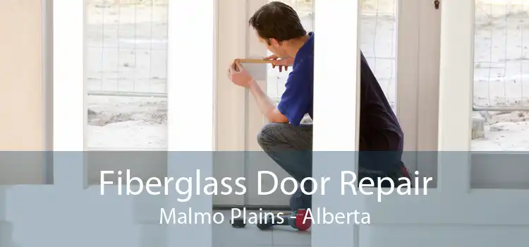 Fiberglass Door Repair Malmo Plains - Alberta