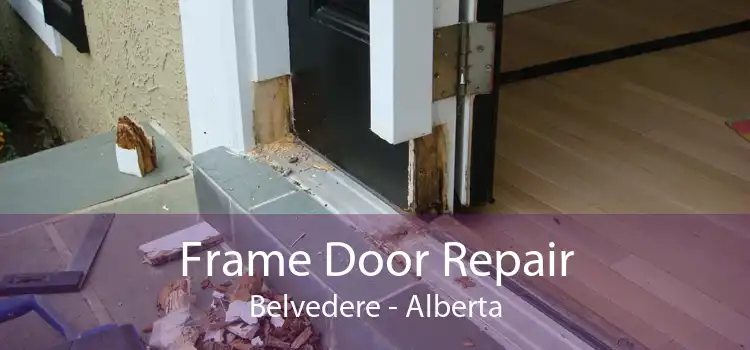 Frame Door Repair Belvedere - Alberta