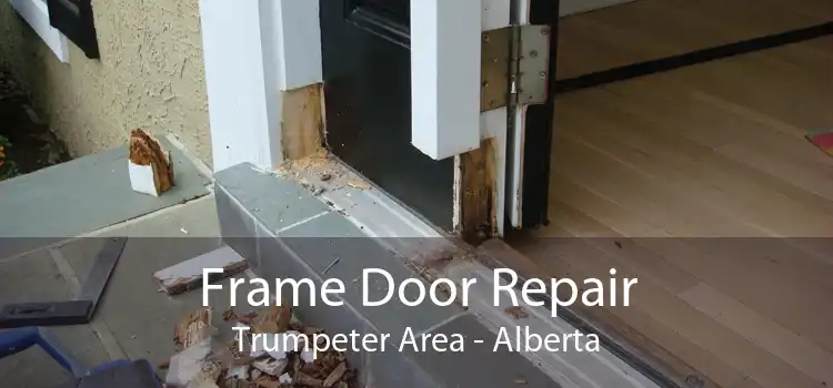 Frame Door Repair Trumpeter Area - Alberta