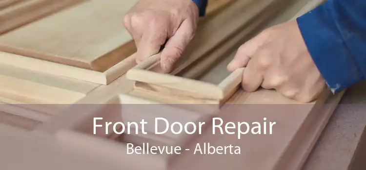 Front Door Repair Bellevue - Alberta