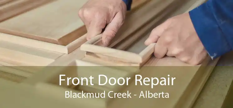 Front Door Repair Blackmud Creek - Alberta