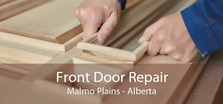 Front Door Repair Malmo Plains - Alberta