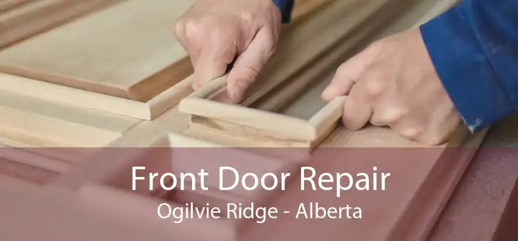 Front Door Repair Ogilvie Ridge - Alberta