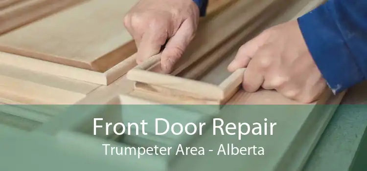 Front Door Repair Trumpeter Area - Alberta