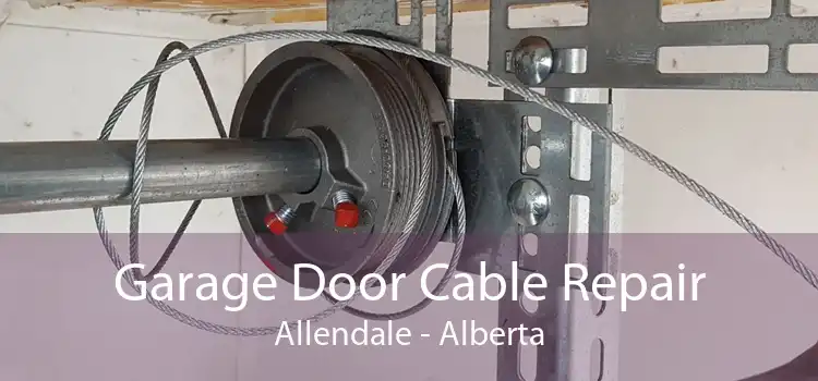 Garage Door Cable Repair Allendale - Alberta