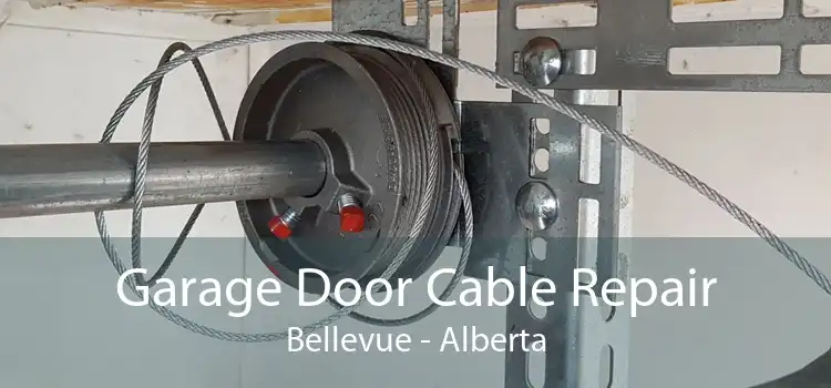 Garage Door Cable Repair Bellevue - Alberta