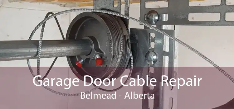 Garage Door Cable Repair Belmead - Alberta