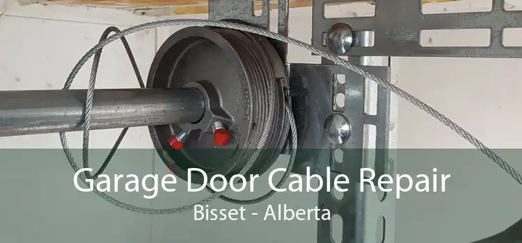 Garage Door Cable Repair Bisset - Alberta