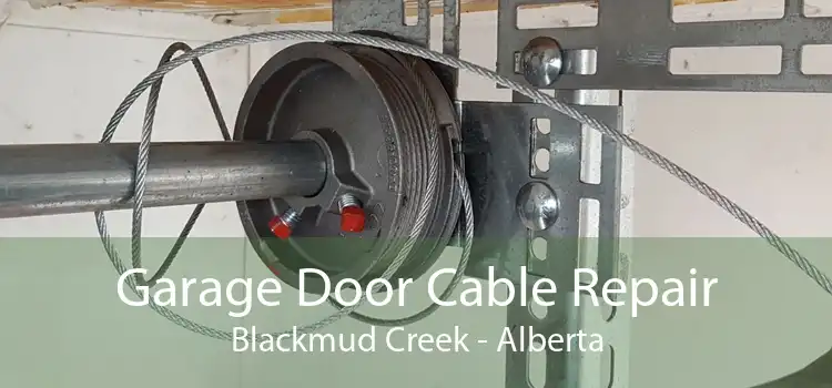 Garage Door Cable Repair Blackmud Creek - Alberta