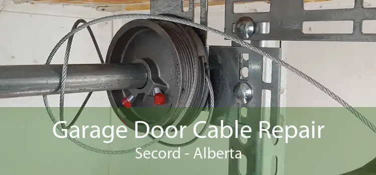 Garage Door Cable Repair Secord - Alberta