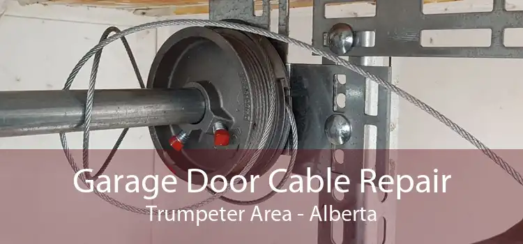 Garage Door Cable Repair Trumpeter Area - Alberta