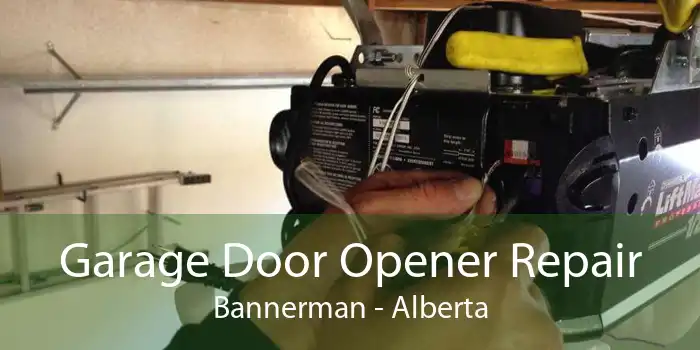 Garage Door Opener Repair Bannerman - Alberta