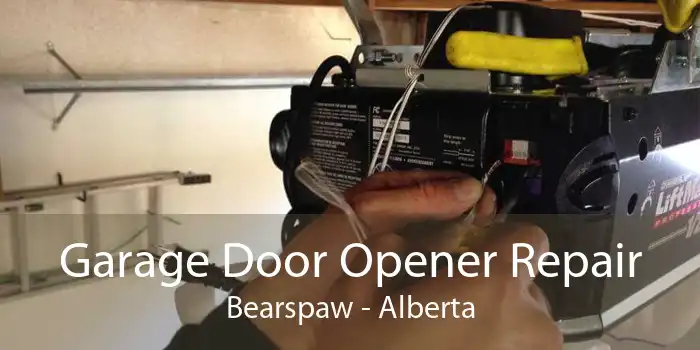 Garage Door Opener Repair Bearspaw - Alberta