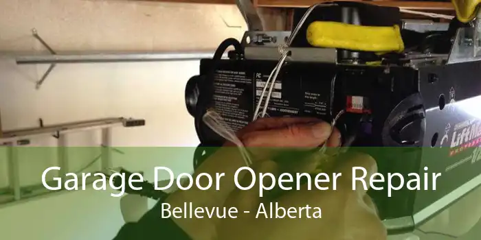 Garage Door Opener Repair Bellevue - Alberta