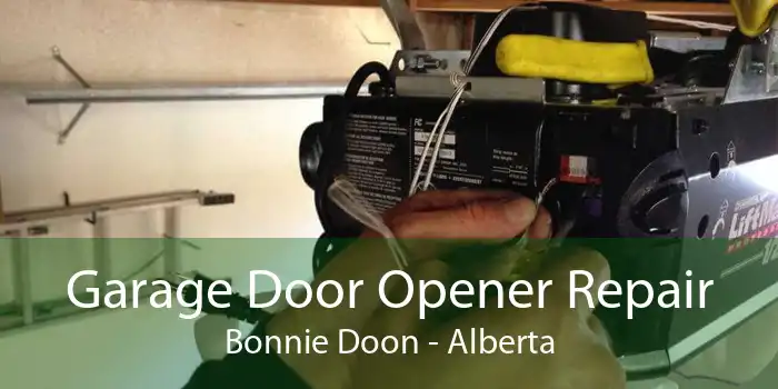 Garage Door Opener Repair Bonnie Doon - Alberta